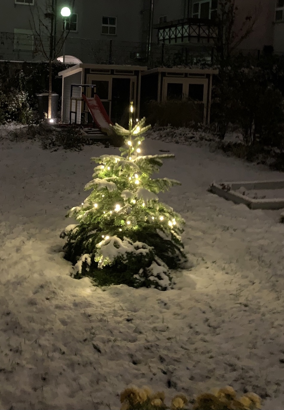 snow in garden